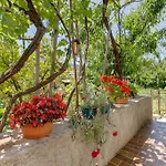 Carmen Апартаменты